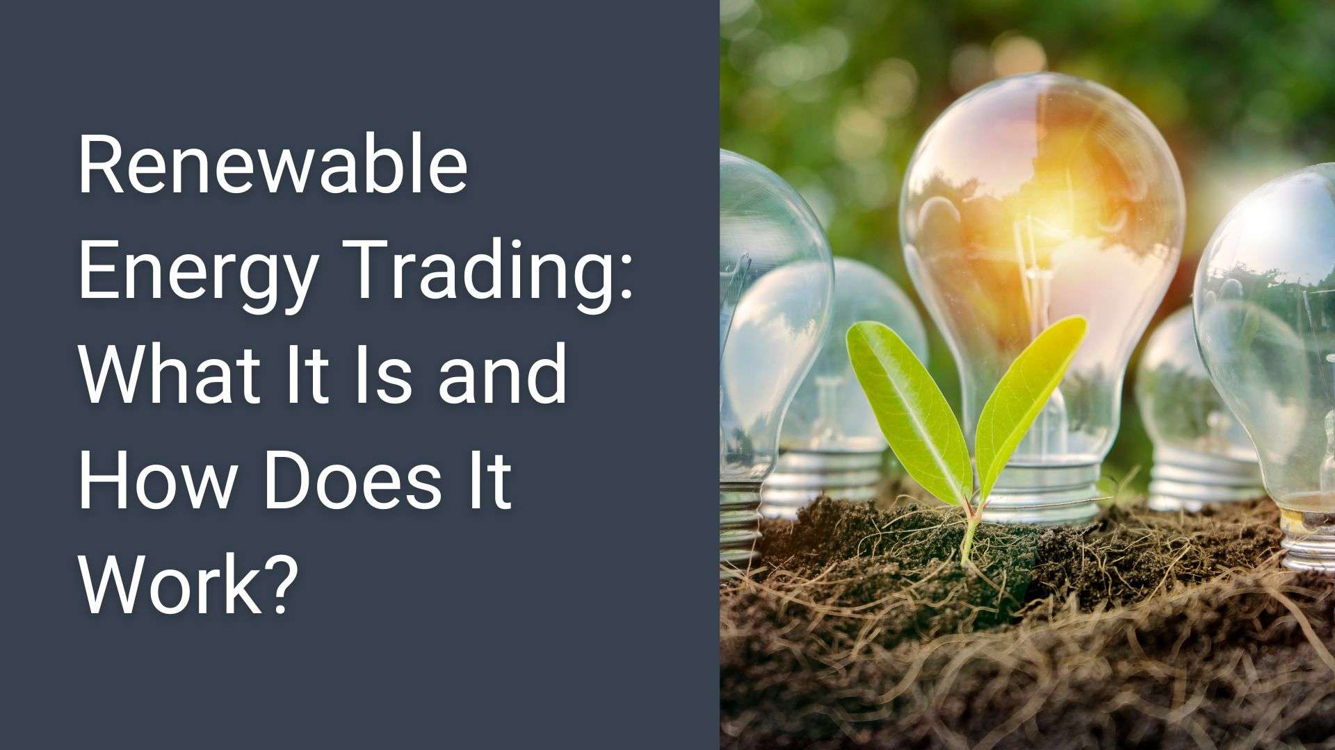 Renewable Energy Trading: What It Is and How Does It Work? - Inatech